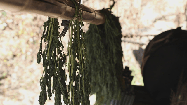 Dried greens hanging under a bamboo