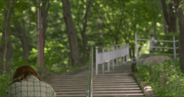 Person walking up forest stairs