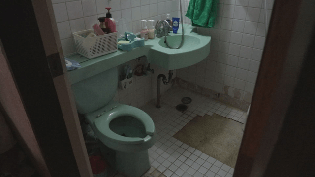 Small bathroom with green toilet