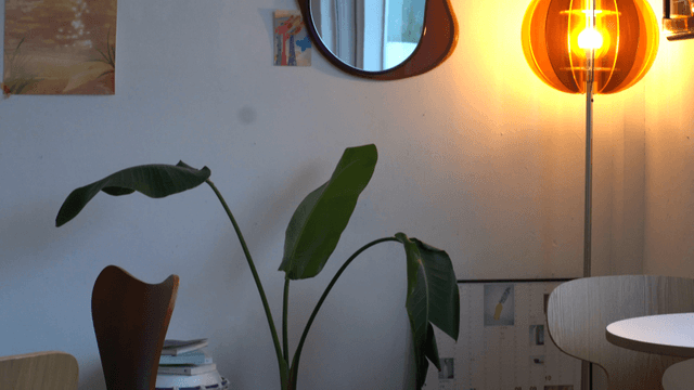 Cozy interior space with modern decorations