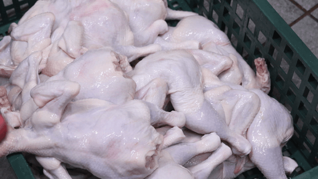 Raw chickens stacked in a green basket