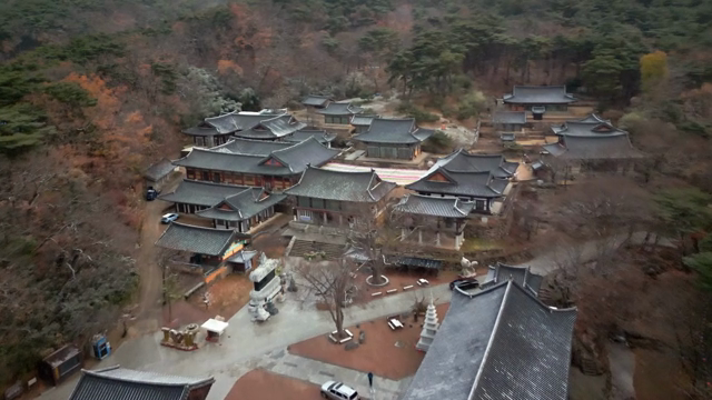 Traditional Korean temple surrounded by forest