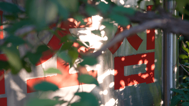 Warning sign seen between sunlight and leaves