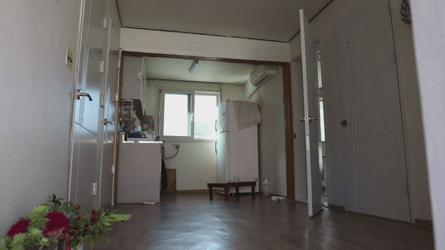 Quiet kitchen with sunlight streaming in