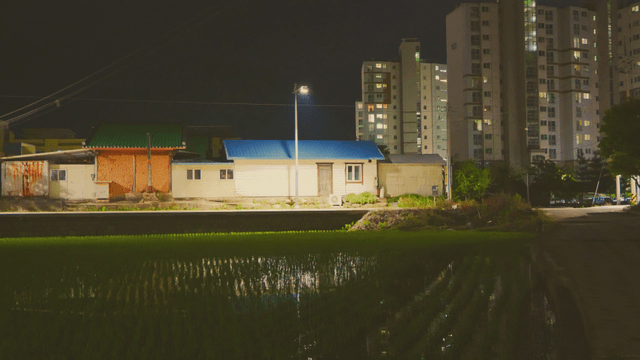 Night view of a rice field with streetlights