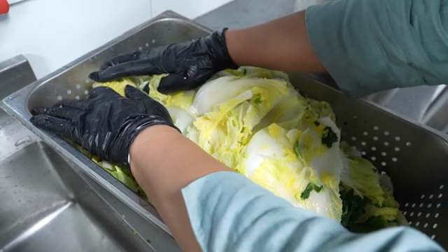 Napa cabbage being drained
