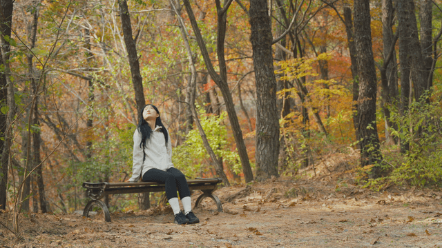 Young woman resting on bench in autumn mountain forest