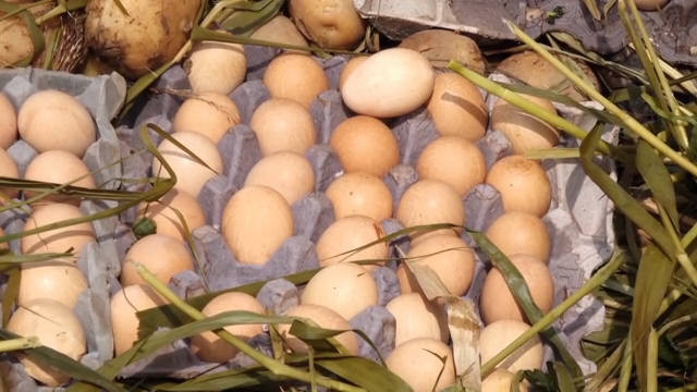 Eggs and potatoes surrounded by grass