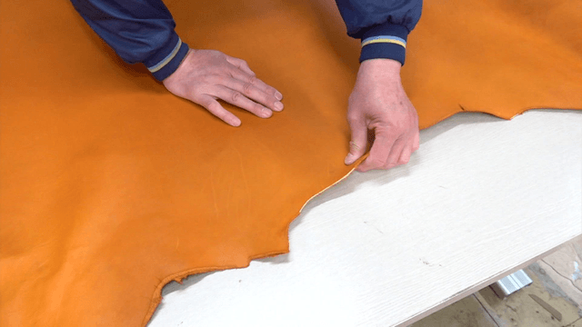 Inspecting leather quality by hand