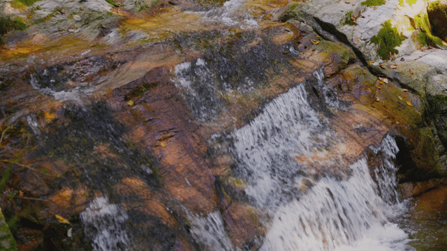 Small cascading waterfall in forest