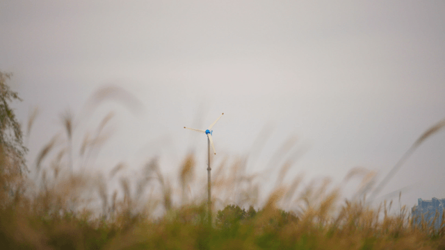 가을 풀밭에 있는 소형 풍력 터빈