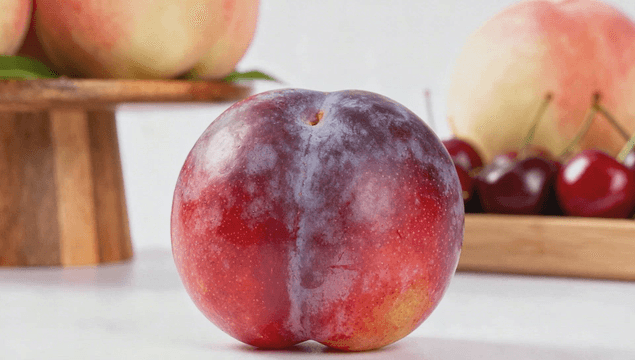 Fresh plum with peaches and cherries