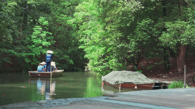 People on a boat in a lush green forest