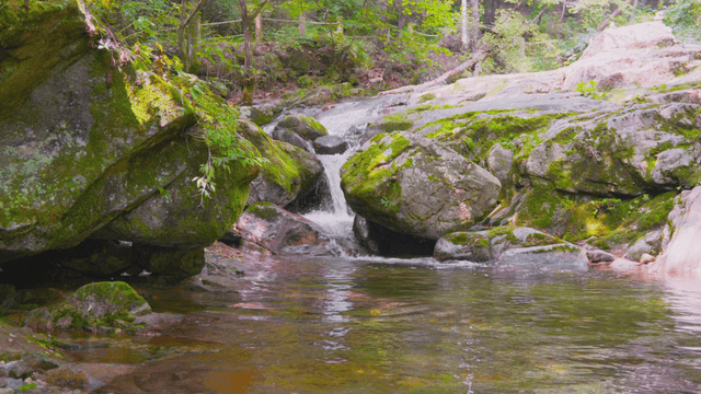 Clear valley stream flowing between rocks
