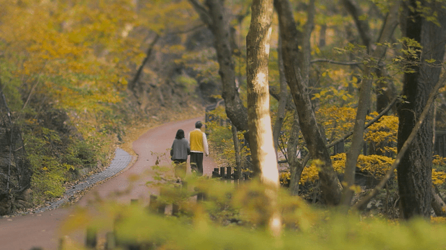 Couple walking on a forest path in autumn