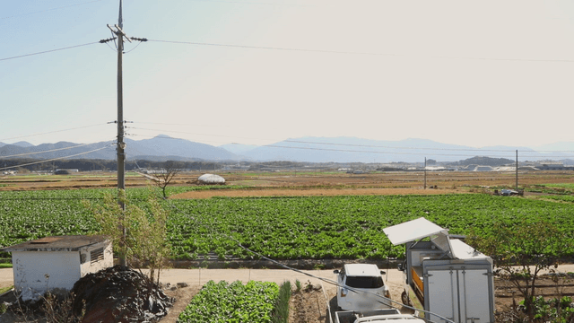 A vast farmland with mountains in the background
