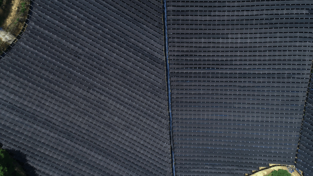 들판에 있는 차양막의 행렬