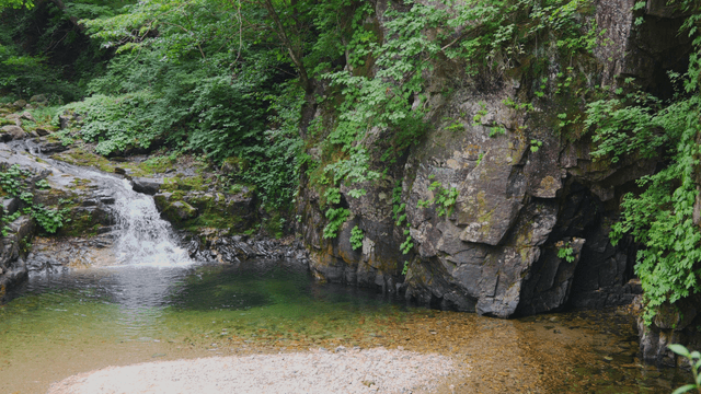 Clear valley flowing calmly beneath rocky cliff in dense forest
