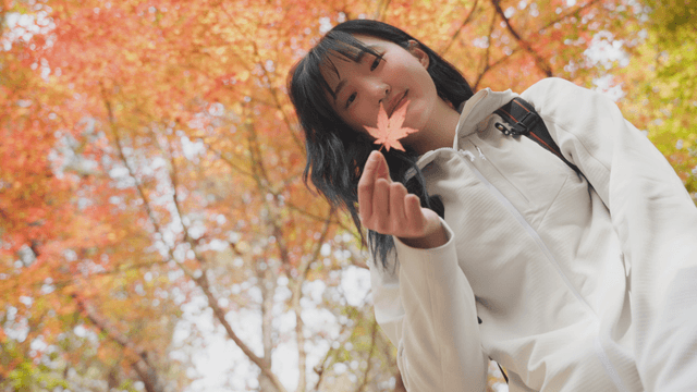 Woman picking up autumn leaves in forest