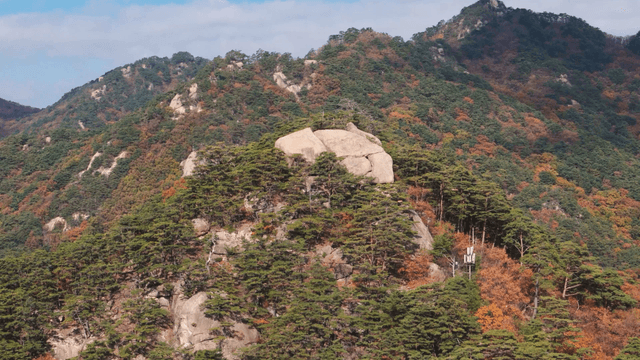 Autumn ridge landscape with colorful foliage