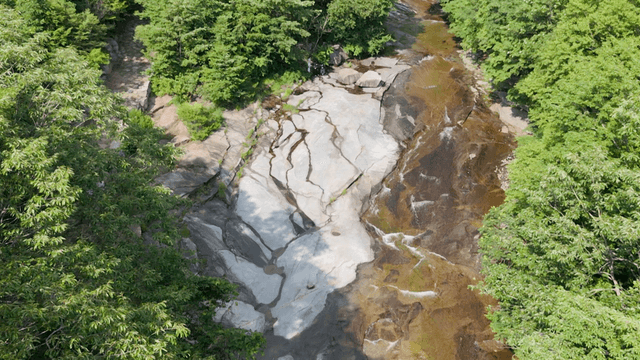 Valley stream surrounded by green trees