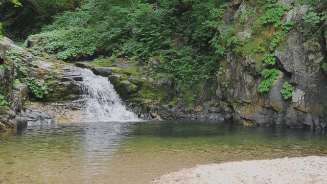 Fast valley current below rocky cliff surrounded by forest