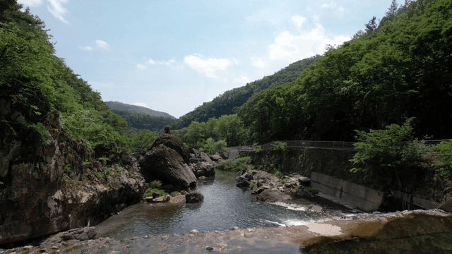 숲을 흐르는 고요한 강