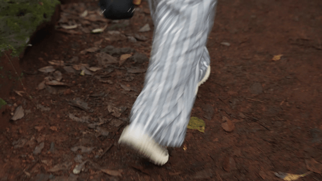Person walking on forest path wearing striped pants