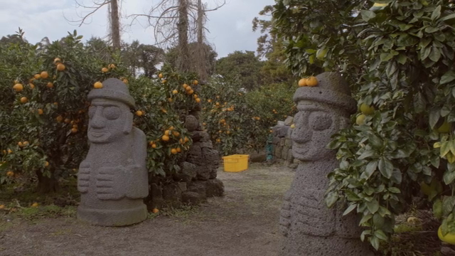 Stone statues in a citrus orchard
