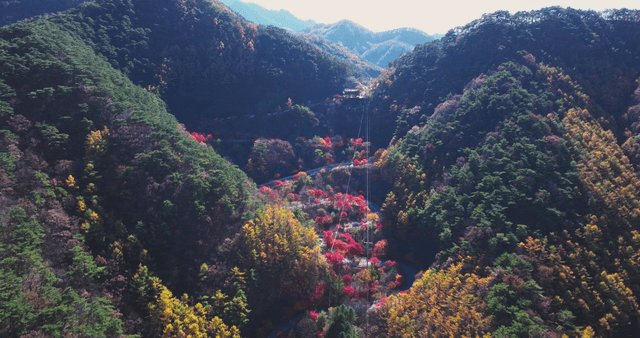 Colorful autumn foliage with winding road