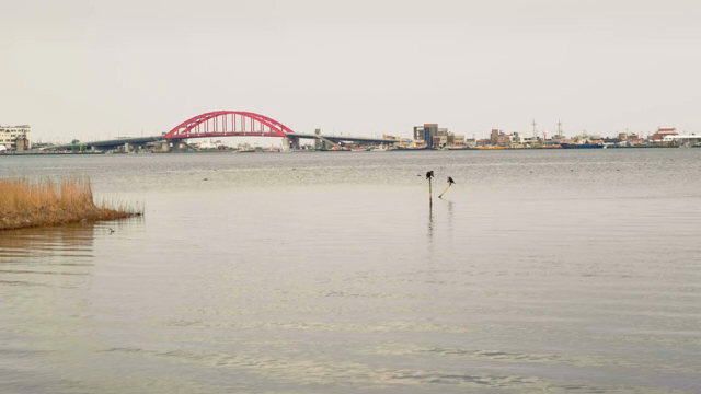 A red bridge over a calm lake with cityscape