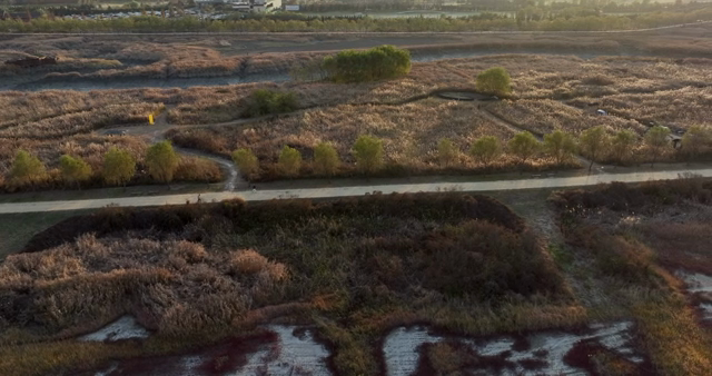 A scenic park with walking paths and trees