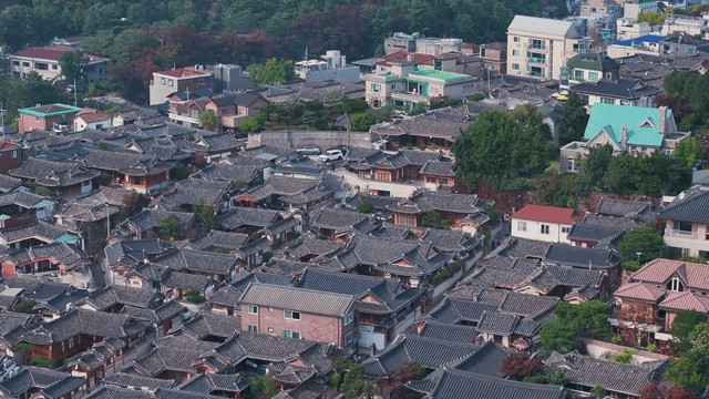 기와로 뒤덮인 골목과 집들이 촘촘히 자리한 한옥 마을