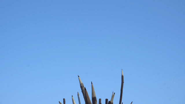 Clear sky with tall wooden pencils