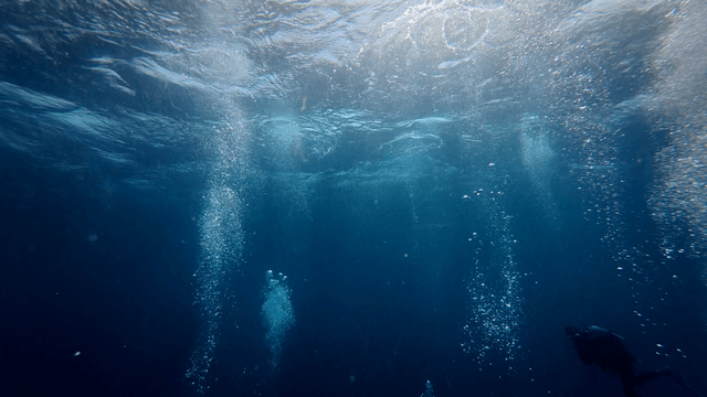 Divers exploring underwater with bubbles