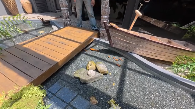 A pond with goldfish and rocks