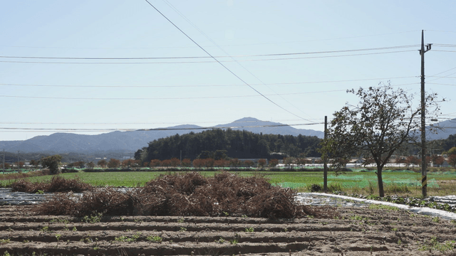 Peaceful rural landscape with fields