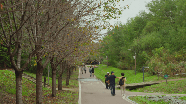 People walking on a tree-lined path