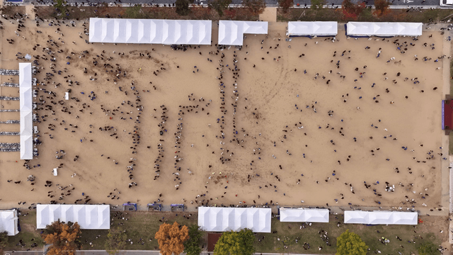 많은 사람들이 모인 대규모 야외 행사