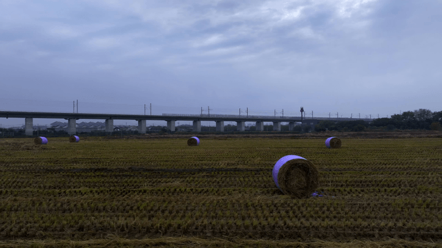 Hay bales in a harvested field under a cloudy sky