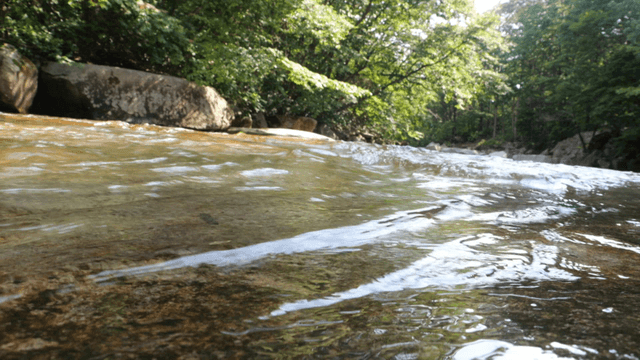 Clear valley water flowing over gentle rock bed