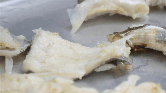 Cod pieces cooling on tray