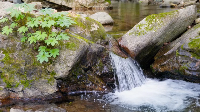 A small waterfall flowing over mossy rocks