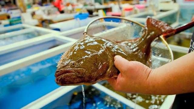 A person holding a fish in a fish tank