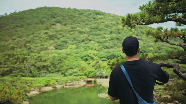 Person admiring in green forest