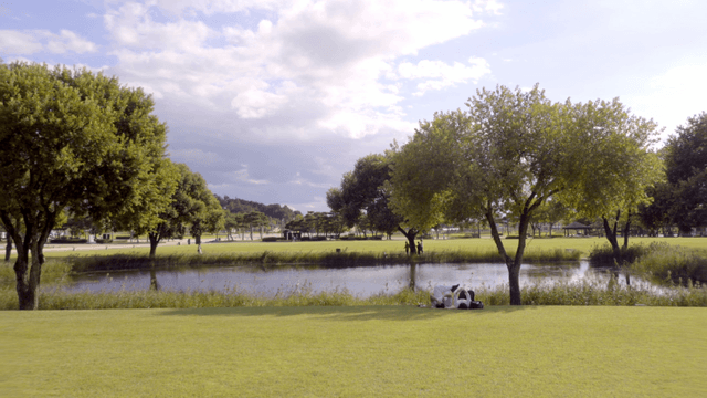 나무와 연못이 있는 평화로운 공원