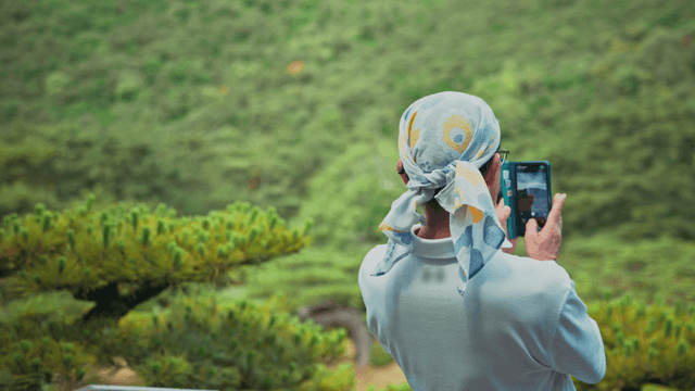 Person taking a photo in a lush forest