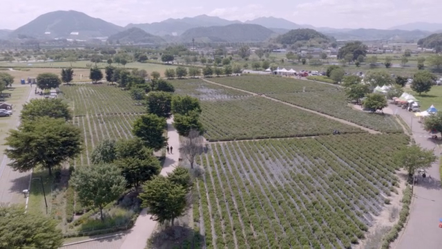 멀리 산이 보이는 넓은 농장