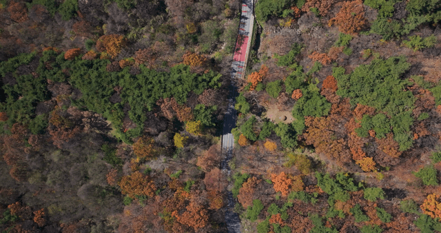 Winding forest road with autumn foliage