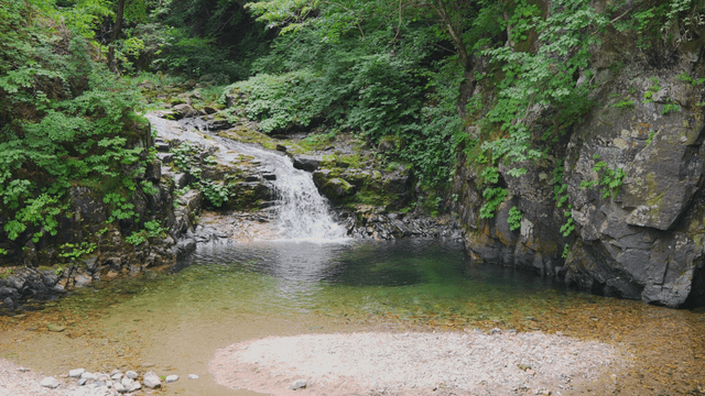 Calm valley beneath rocky cliff in green forest